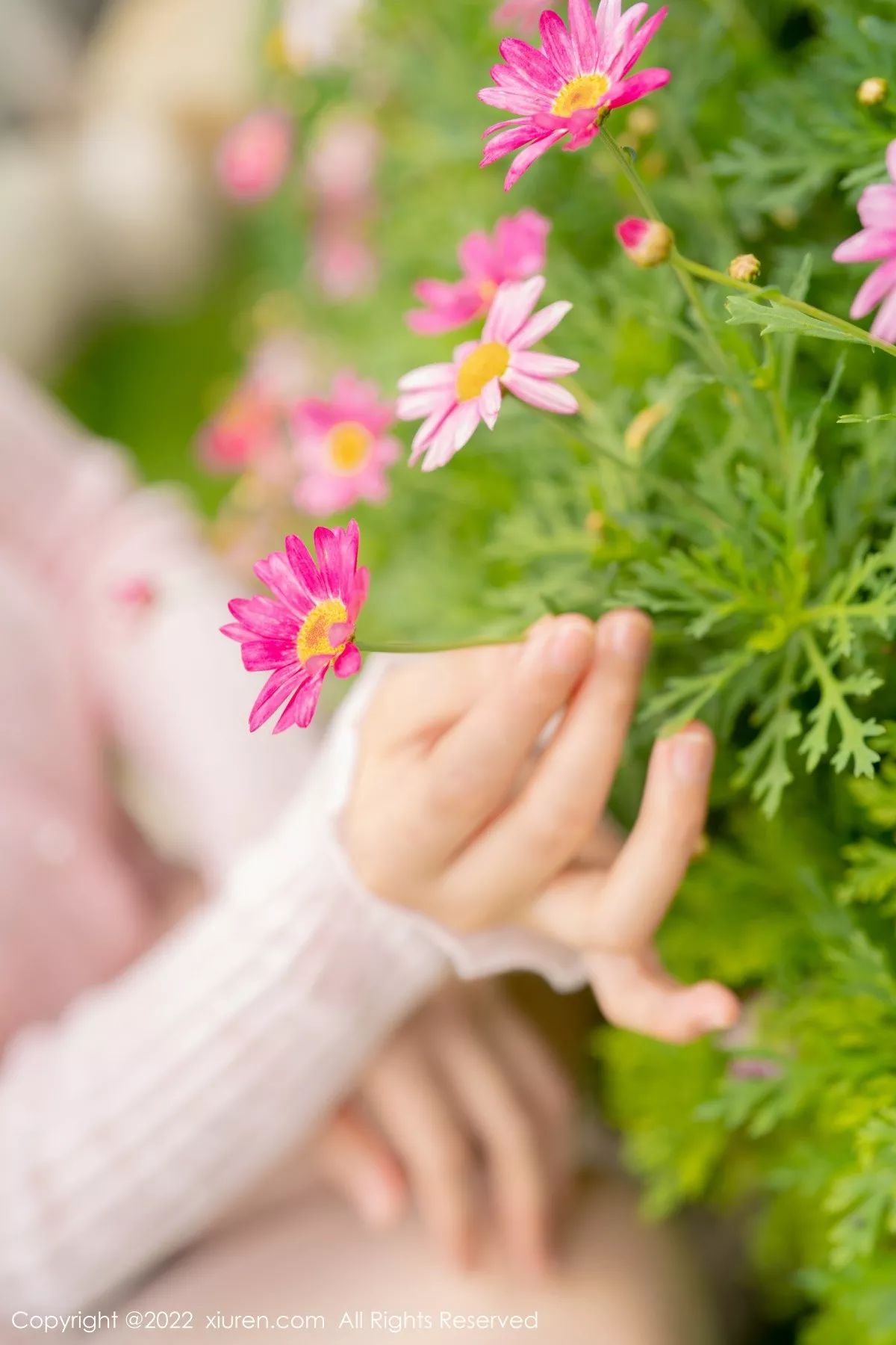 秀人集.com_[XiuRen秀人网]No.5295_女神朱可儿Flora大理旅拍粉色上衣配超薄无内肉丝撩人诱惑写真71P