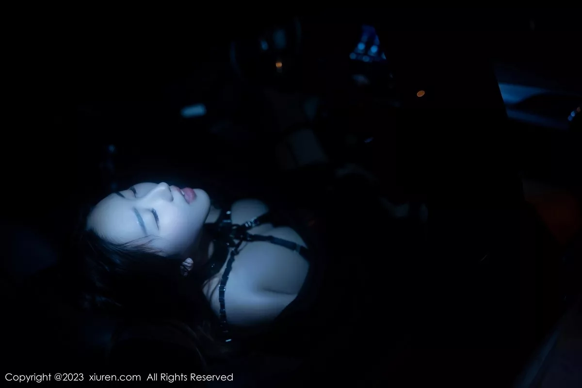 秀人集.com_[XiuRen秀人网]No.6650_模特江真真性感黑色薄透情趣内衣配黑丝吊袜秀惹火身材诱惑写真88P