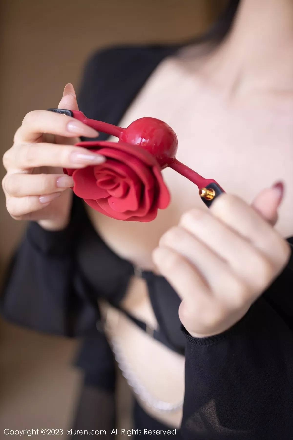 秀人集.com_[XiuRen秀人网]No.6867_模特安然anran私房性感黑色内衣配黑丝吊袜秀曼妙身姿诱惑写真80P