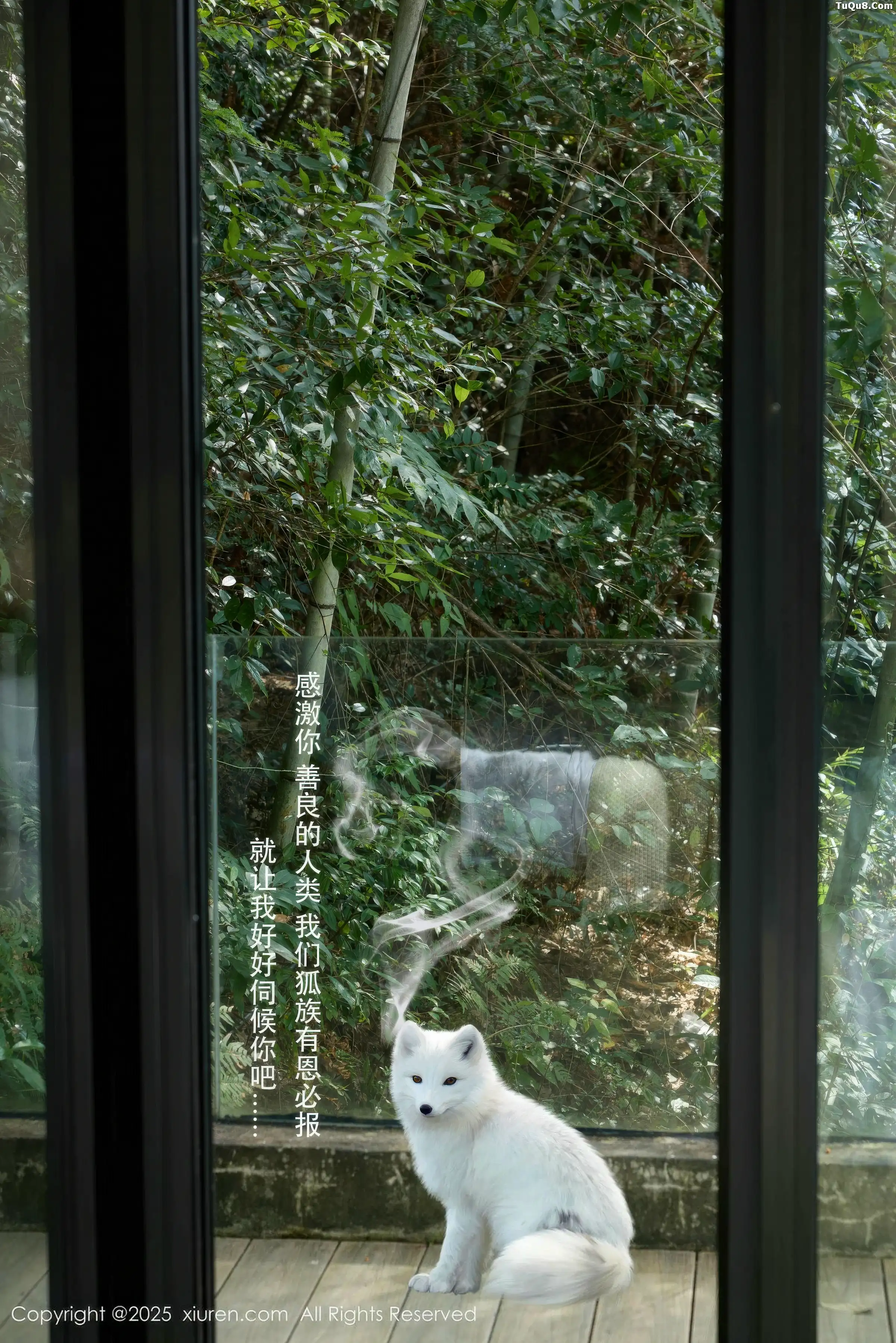 秀人集.com_[XiuRen秀人网]No.11068_模特尹甜甜性感小白狐装扮白色绒毛遮点秀惹火身材诱惑写真55P